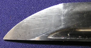 DSCN6676.JPG