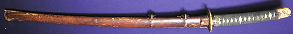 DSCN6692.JPG