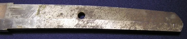 DSCN6673.JPG
