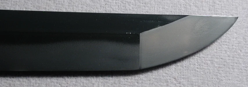DSCN6485.JPG