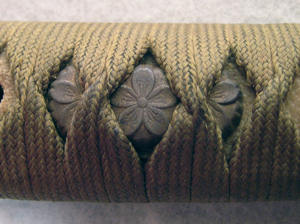 DSCN0757.JPG