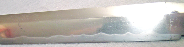 DSCN0788.JPG