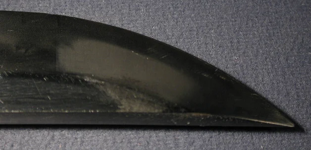 DSCN5541.JPG