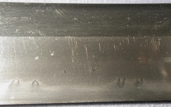DSCN5546.JPG