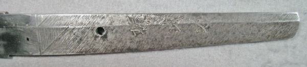 DSCN6130.JPG