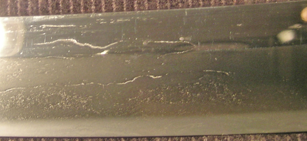 DSCN3335.JPG
