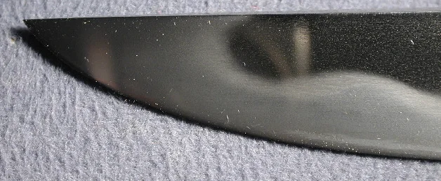 DSCN5698.JPG
