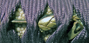 DSCN5918.JPG
