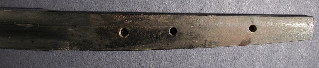 DSCN5622.JPG