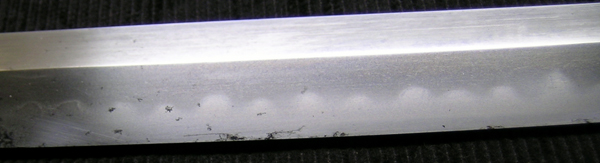 DSCN1494.JPG