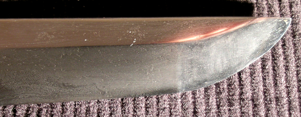 DSCN1585.JPG