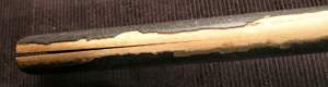 DSCN1724.JPG