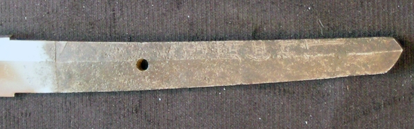 DSCN0533.JPG