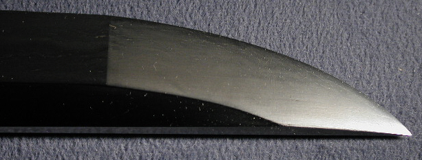 DSCN4571.JPG