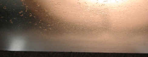 dscn2704.jpg