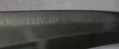 DSCN4064.JPG