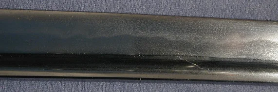 DSCN4516.JPG