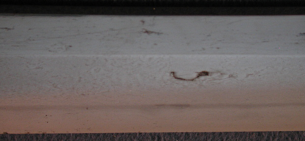 DSCN3917.JPG