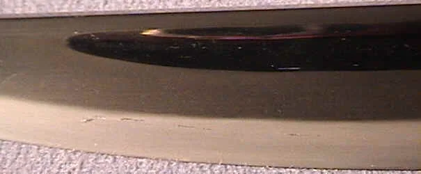 dsc00004.jpg