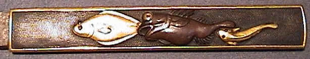 dsc00021.jpg