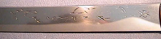dsc00032.jpg
