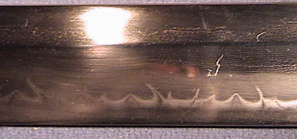 dsc00005.jpg