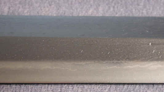 dscn2810.jpg