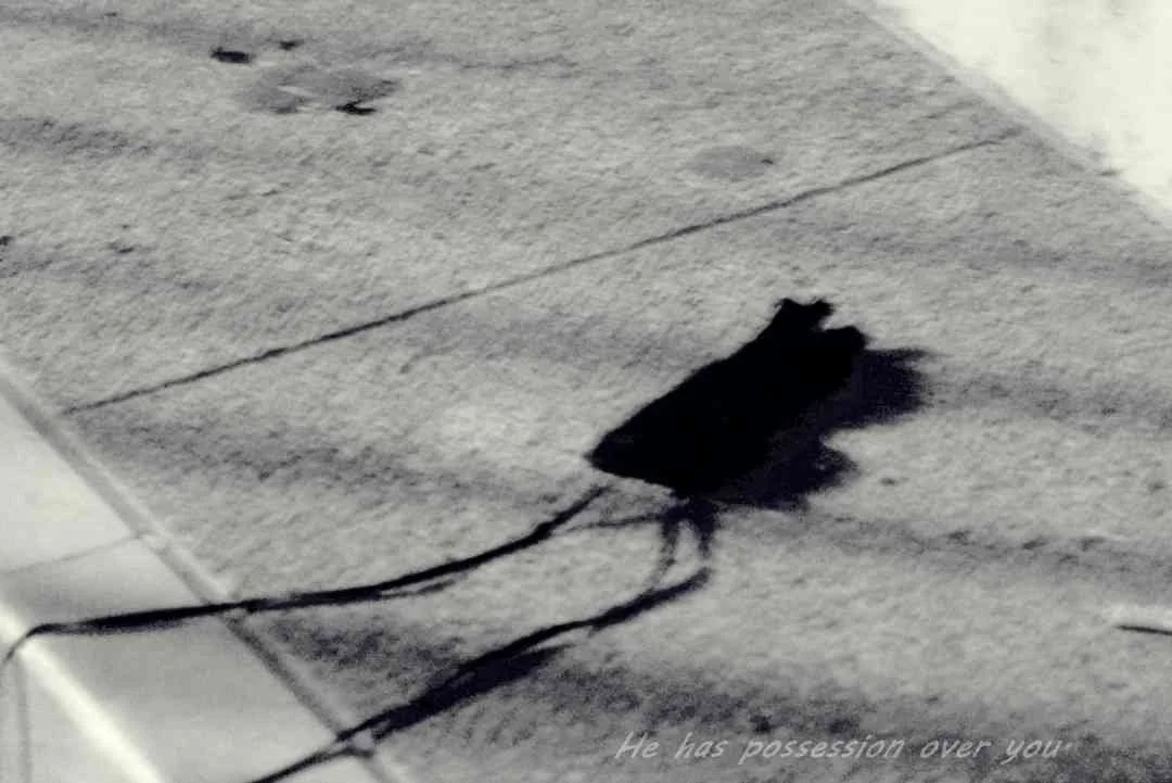 3 batch_leslie.Tabony.8text.JPG