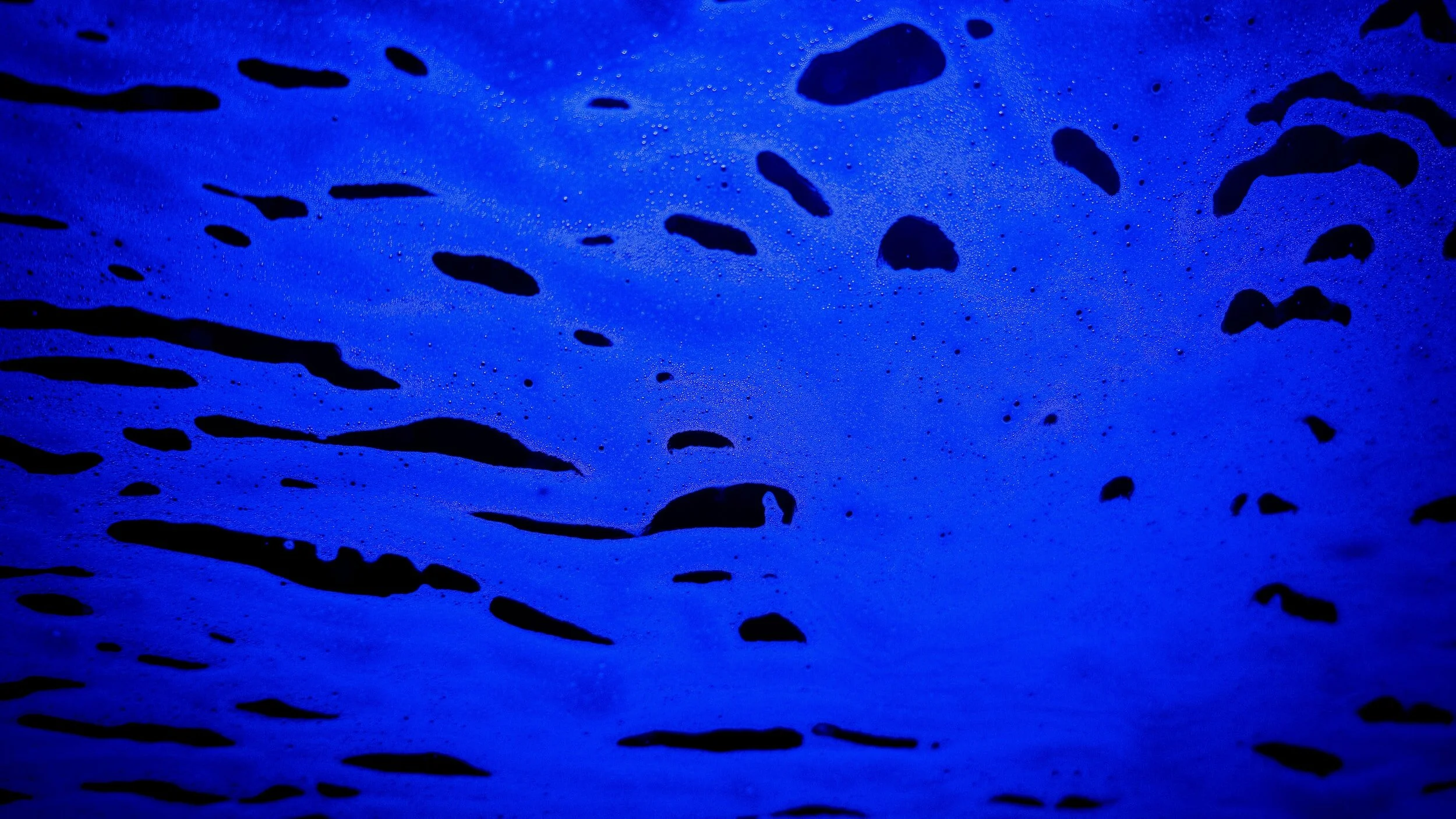 The Power of Convenience