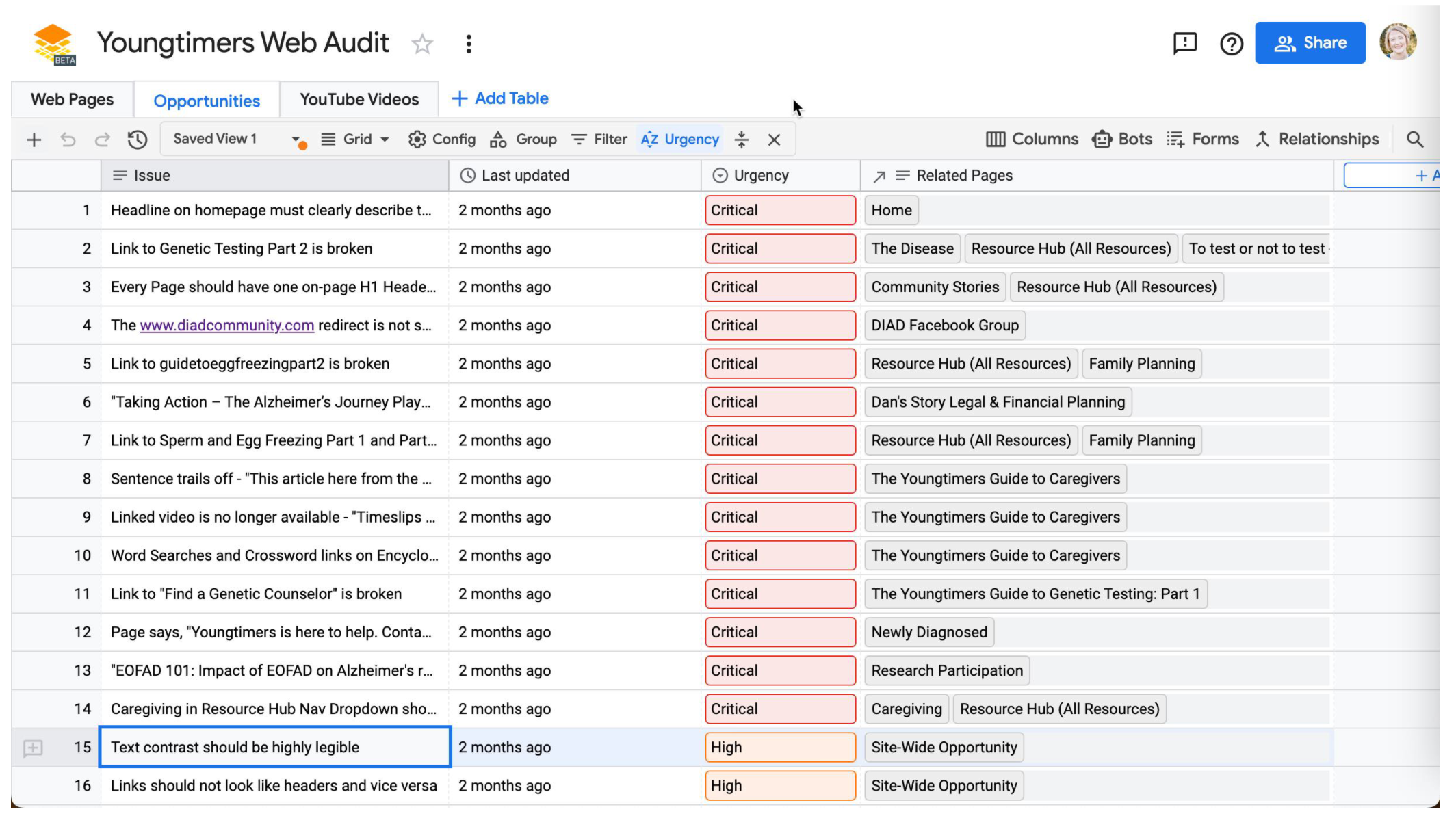 Screenshot of a web audit tracker for Youngtimers, listing usability issues by urgency, including navigation, text legibility, and content findability problems.