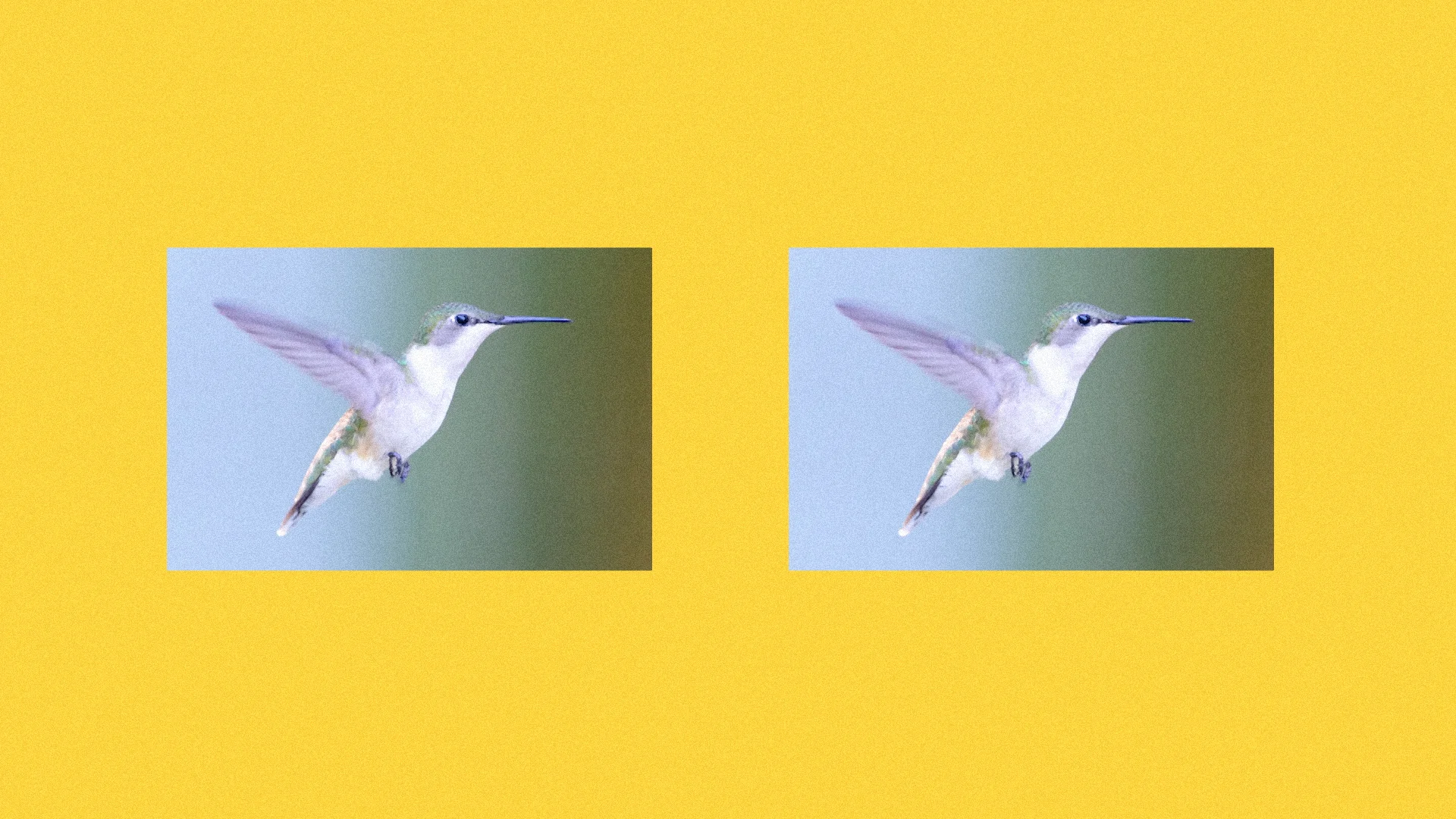 FINAL CUT JD Noise.00_00_33_16.Still004.jpg