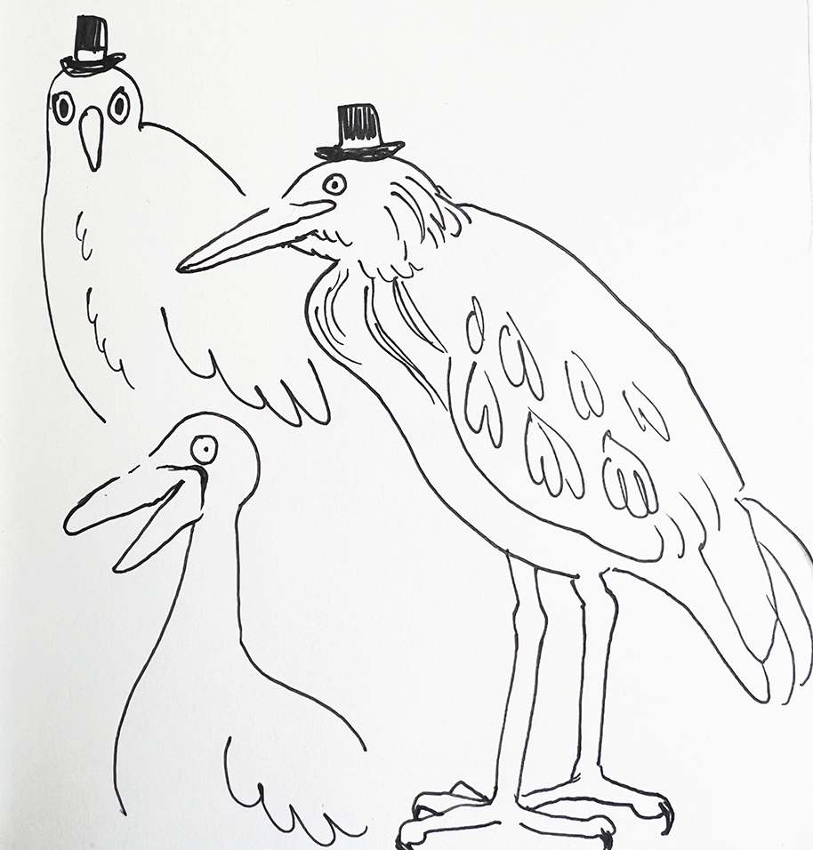silly birds.png