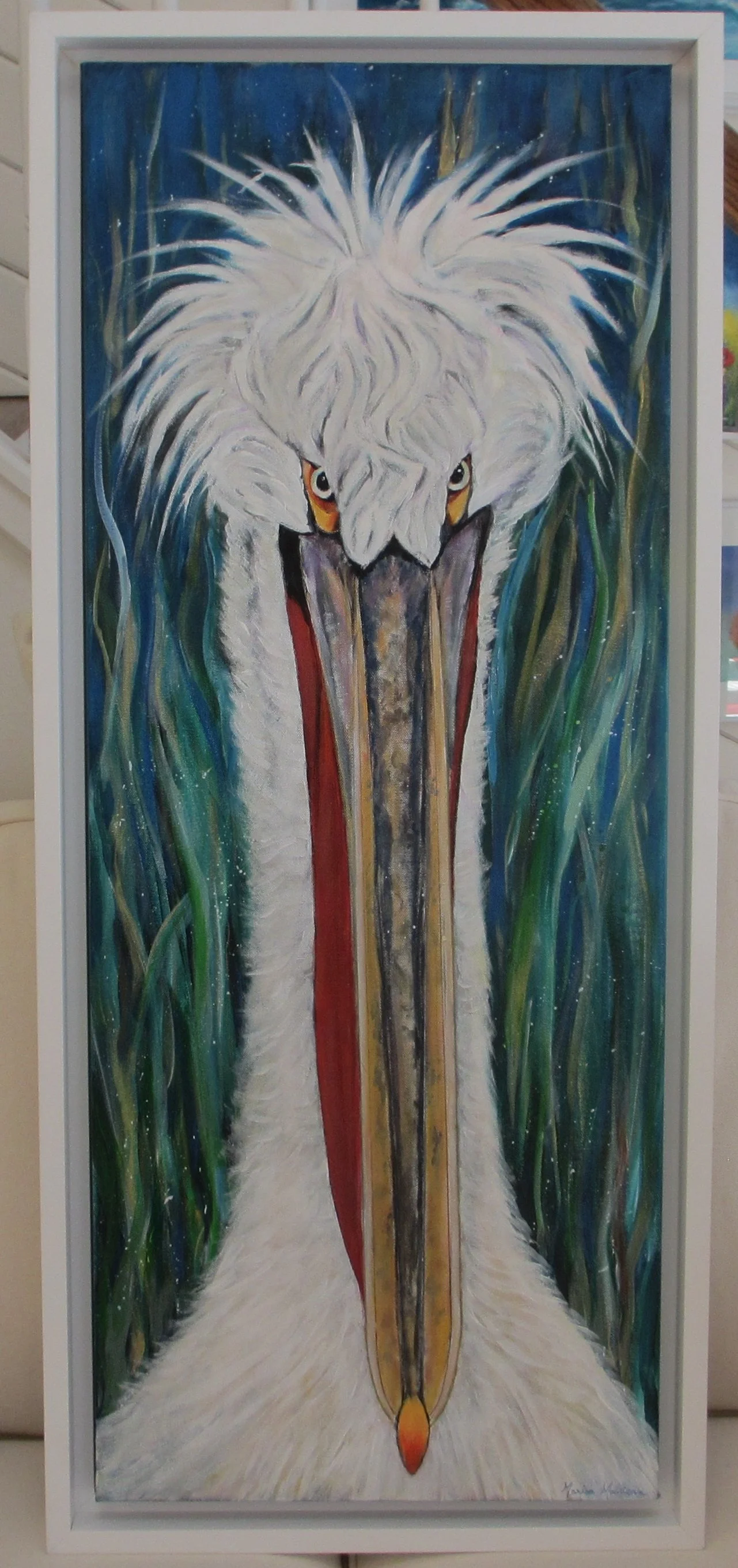 Dalmation Pelican.JPG