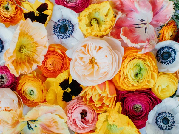 poppies,-tulips,-ranunculus.jpg