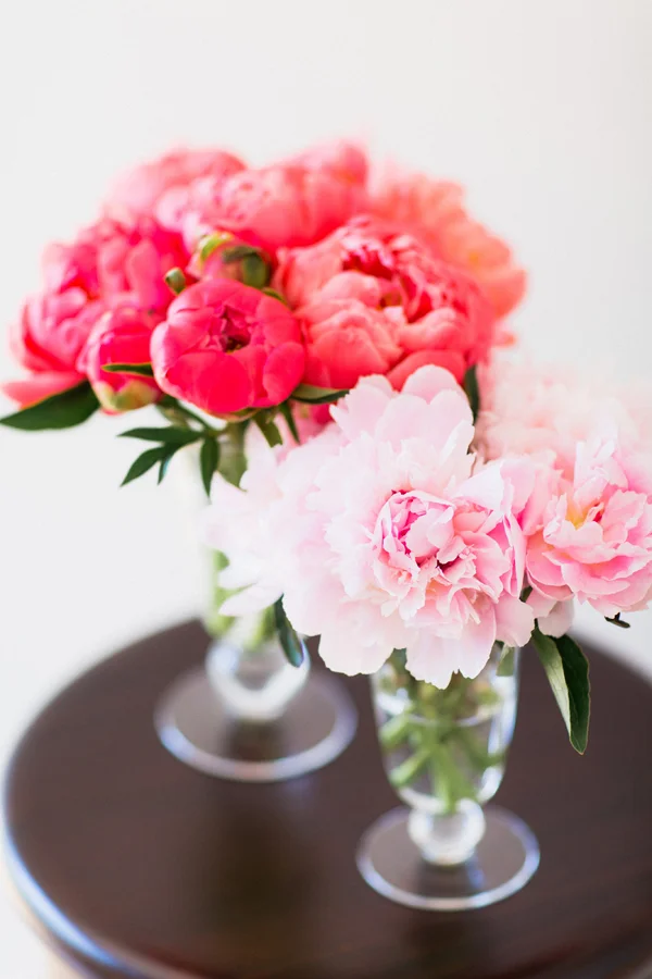 pink peonies.jpg