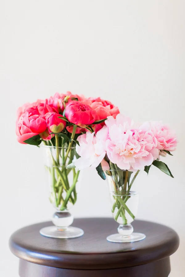 pink peonies-2.jpg