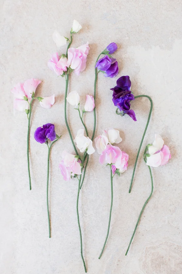 sweet-peas.jpg