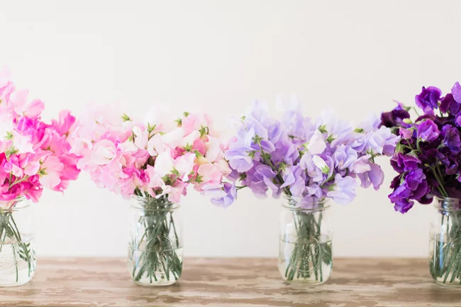 flower-guide-3.jpg