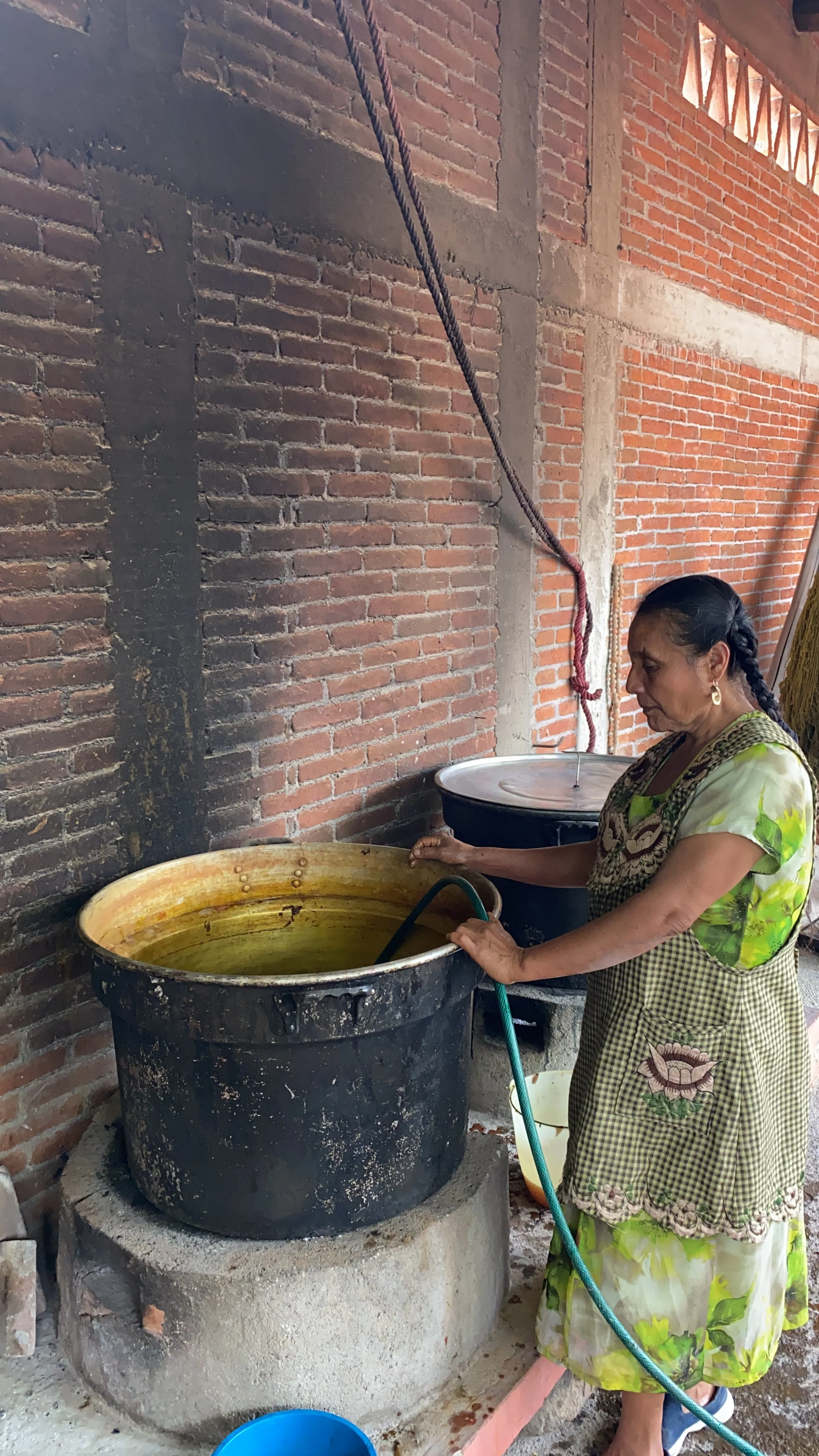  An artisan in their hacienda creating natural dyes in Oaxaca  