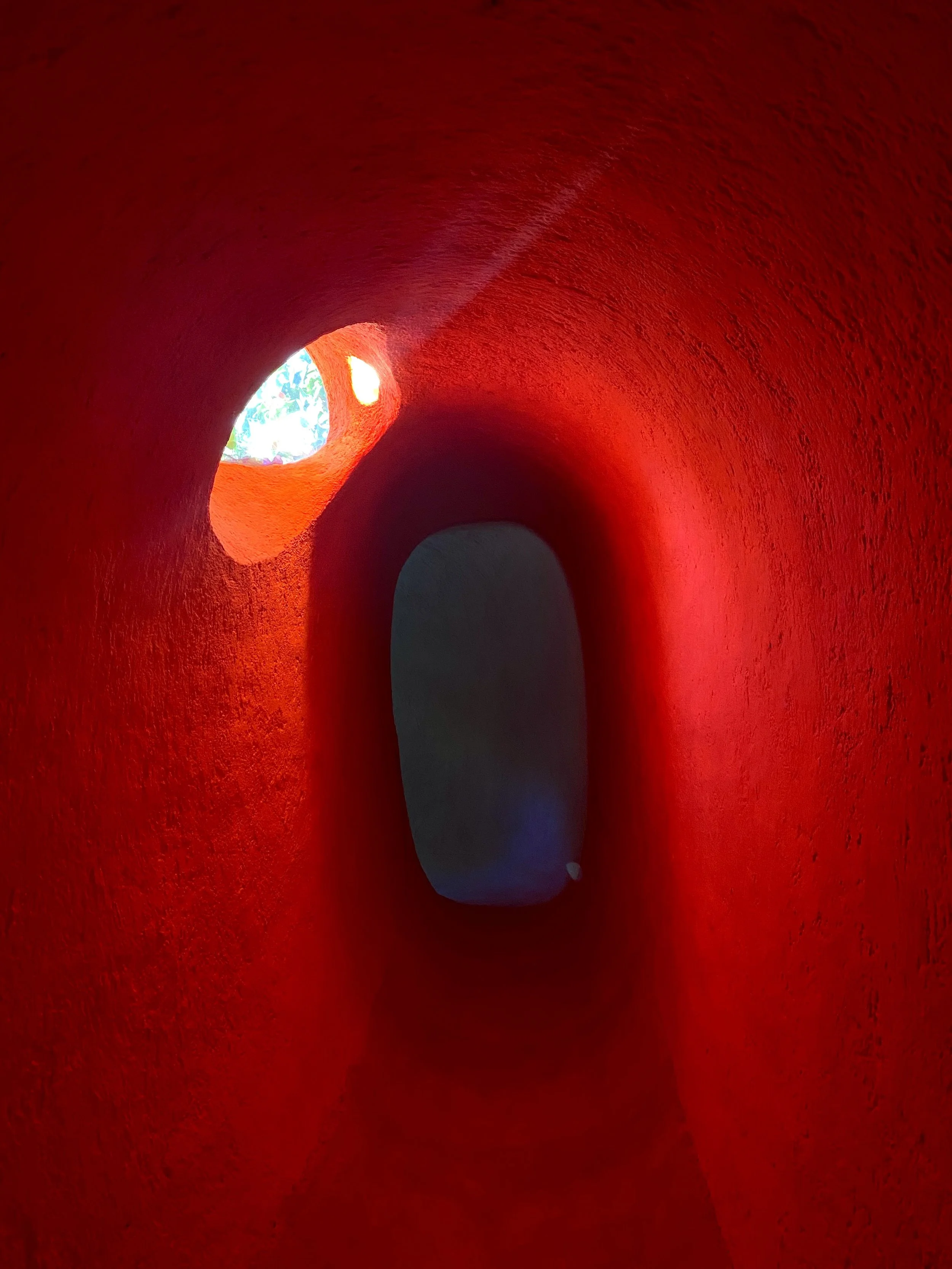  CASA ORGANICA BY JAVIER SENOSIAN  