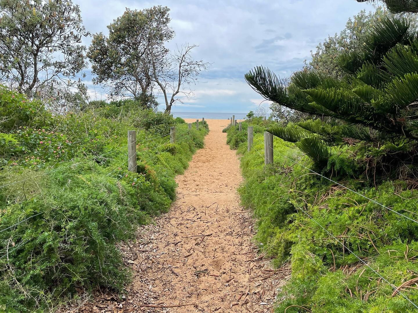 Avoca beach, a gem.