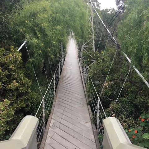 Spruce Bridge Crossing Bridges — Carolyn Adventure Tours