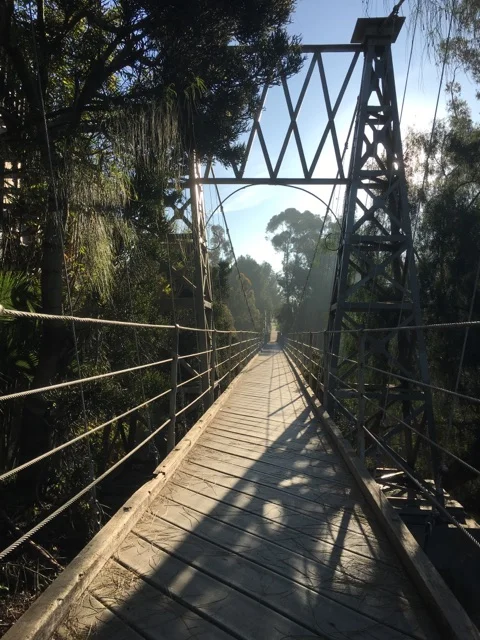 Crossing Bridges — Carolyn Adventure Tours