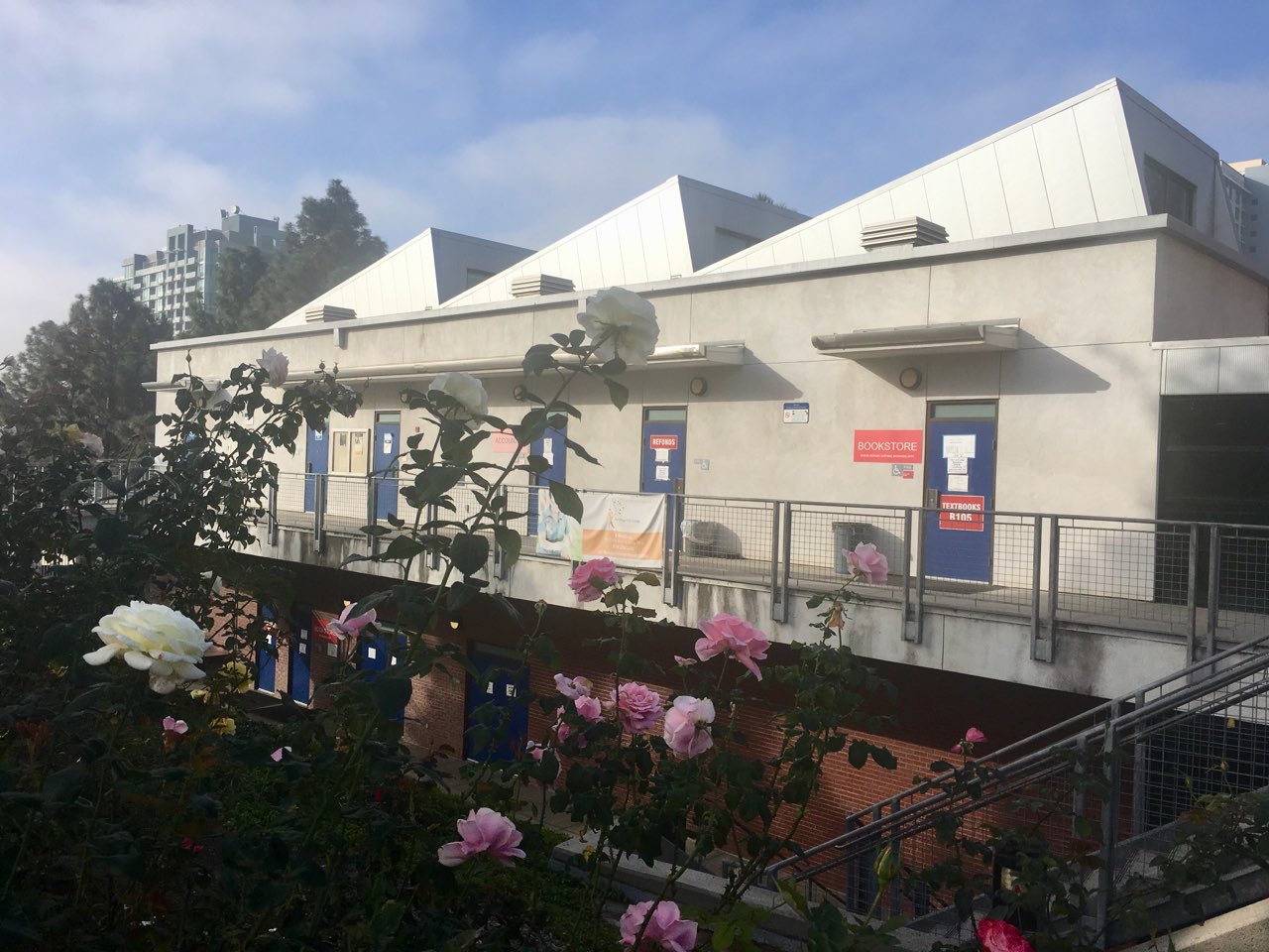 City College (1).jpg