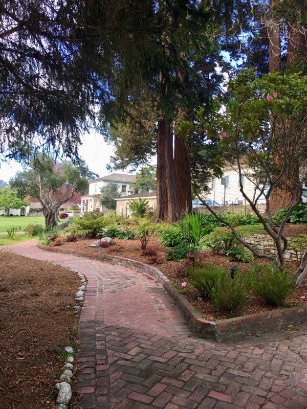 Monterey Landscape (3).jpg