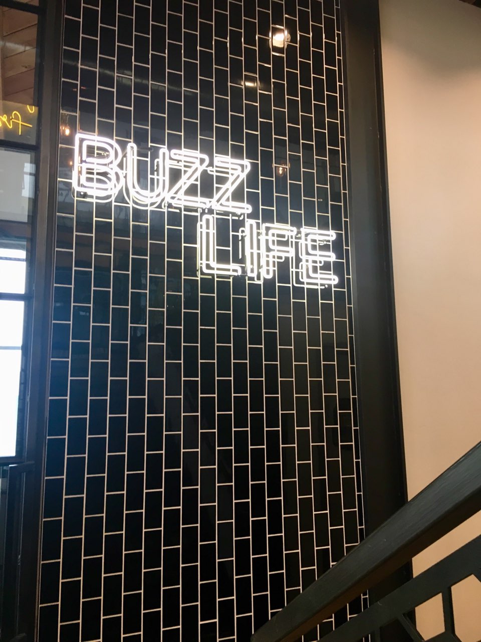  The Buzz Life in Hillcrest 