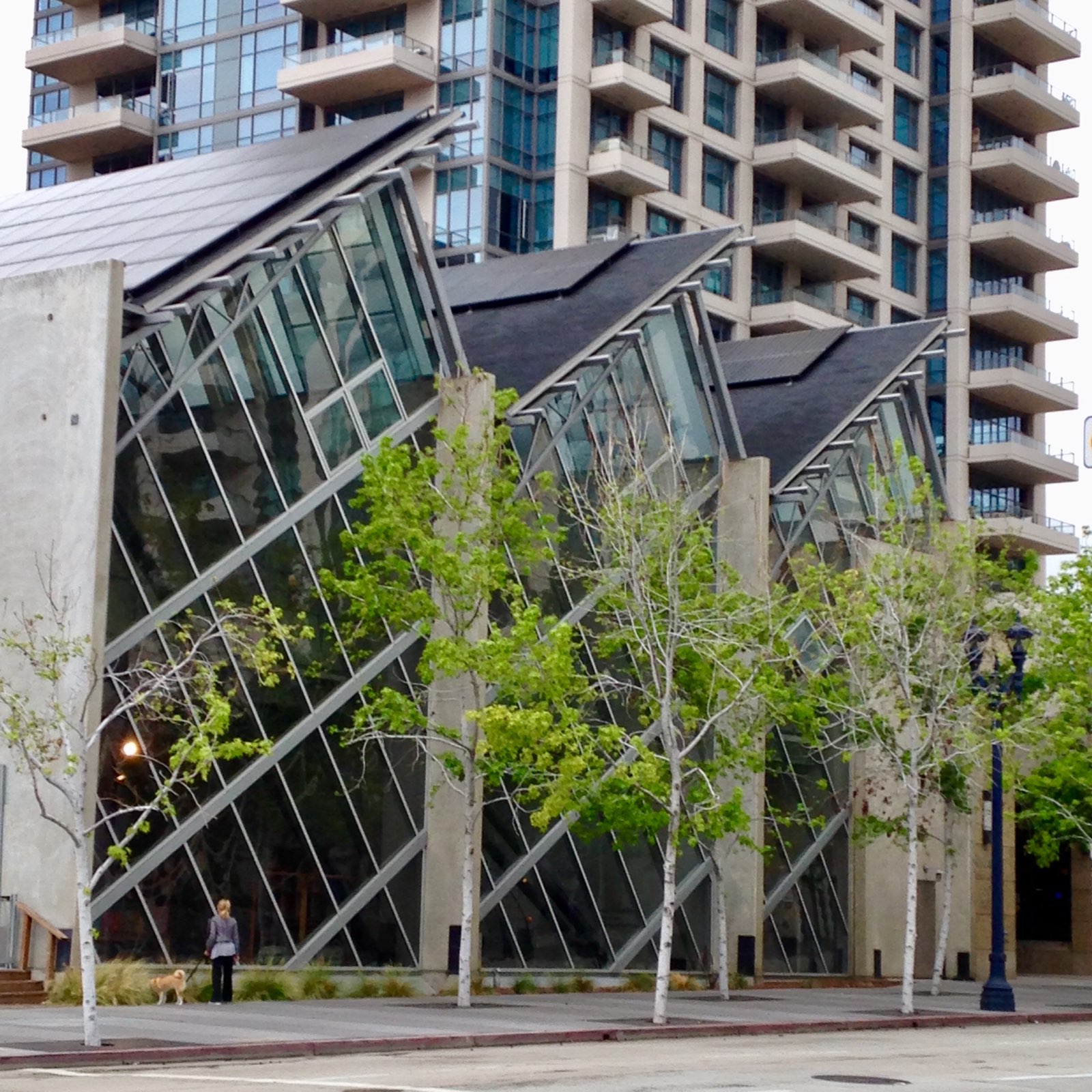 NCM - Architecture (4).jpg