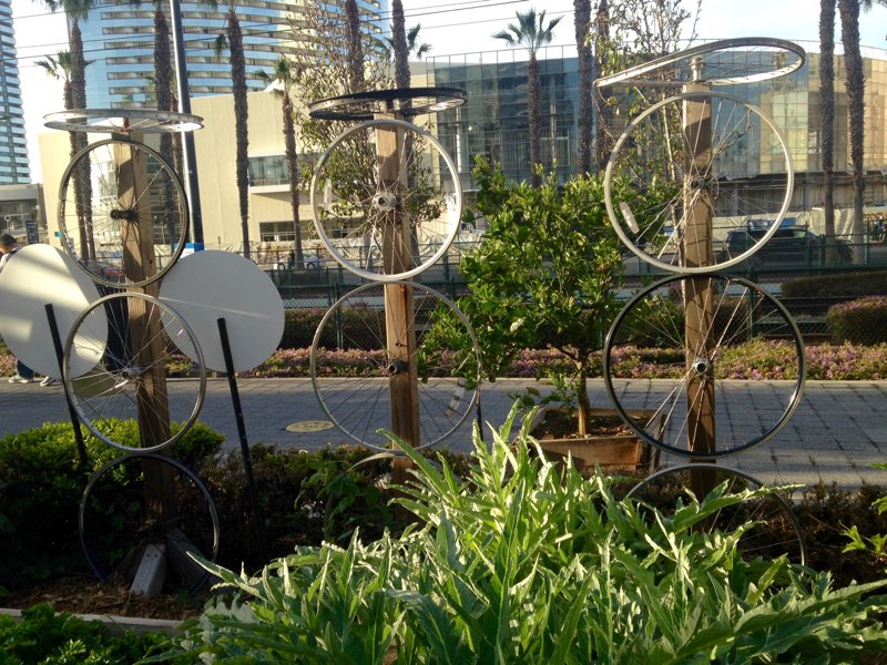 NCM - Garden (8).jpg