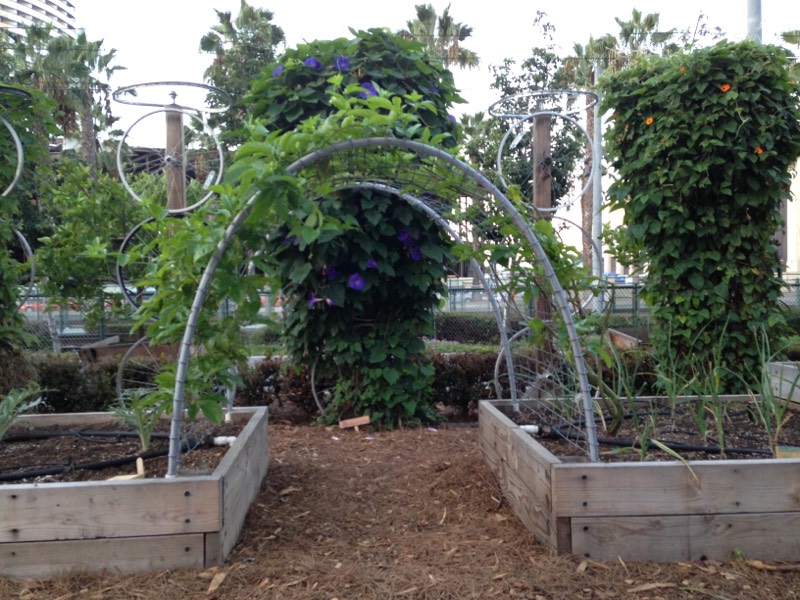 NCM - Garden (4).jpg