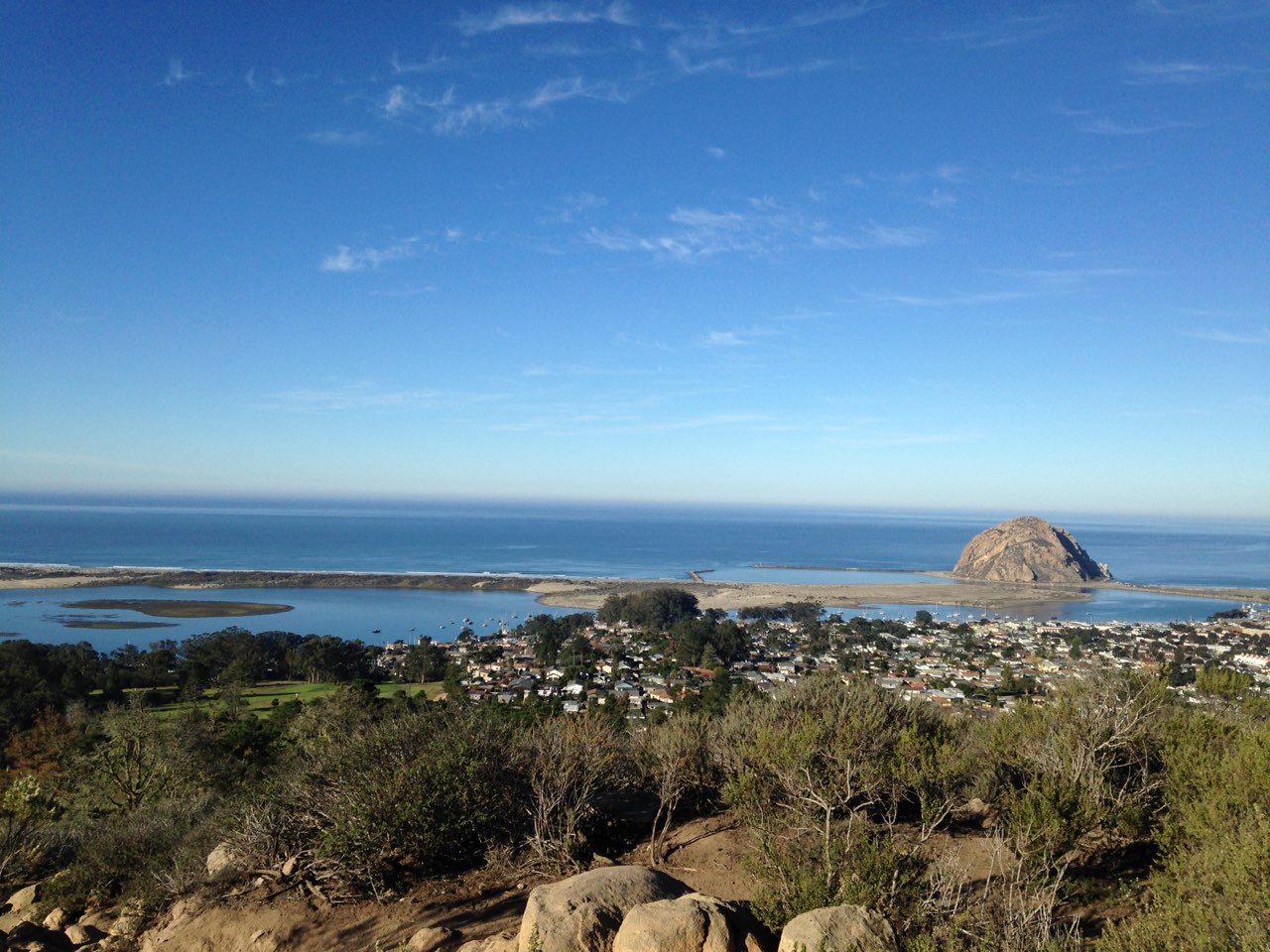 MB Black Hill Jan 2015 (1).jpg